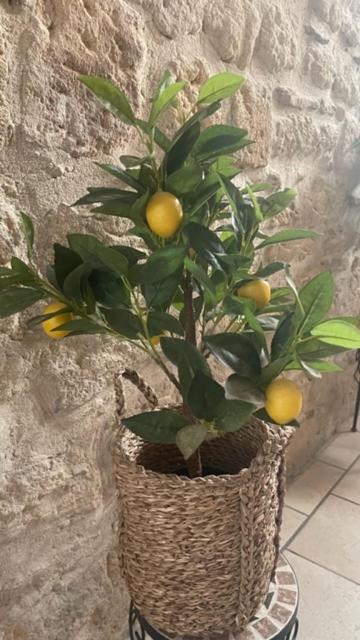 L'Isle Apartment Beaucaire  Ngoại thất bức ảnh